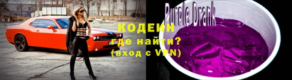 МДПВ Пересвет