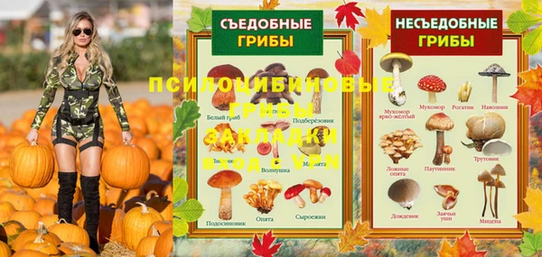 МДПВ Пересвет