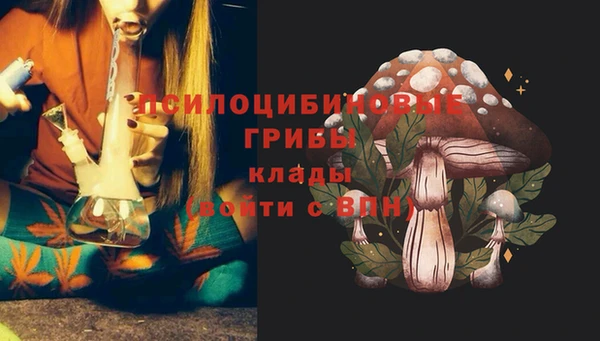 соль ск Пестово