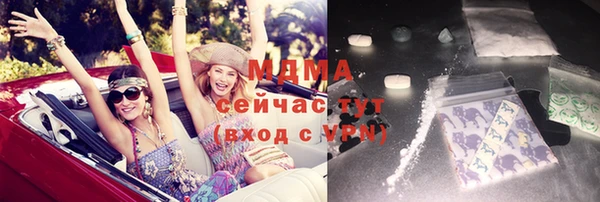 МДПВ Пересвет