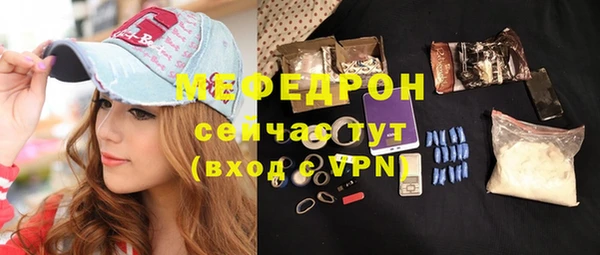 МДПВ Пересвет