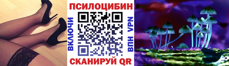 Псилоцибиновые грибы Cubensis  где купить наркоту  Сухиничи 
