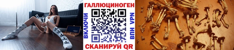 Псилоцибиновые грибы ЛСД Сухиничи